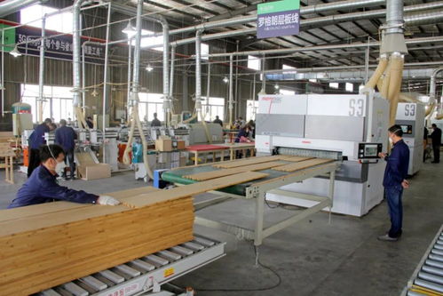 邵武 一筆大額資金的民生賬本與高質量發(fā)展探索